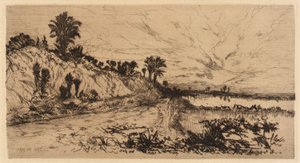 Floridas kust av Mary Nimmo Moran