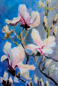 magnolior