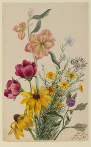 Grupp av blommor av Mary Vaux Walcott