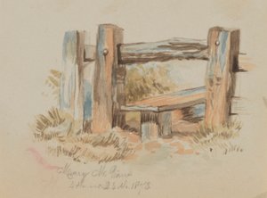 Utan titel (Stile) av Mary Vaux Walcott