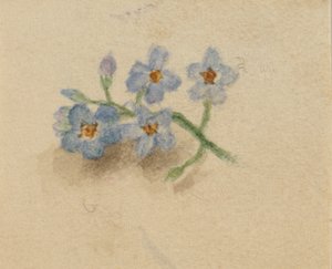Utan titel, 1874. av Mary Vaux Walcott