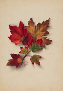 Utan titel höstlöv, 1874.