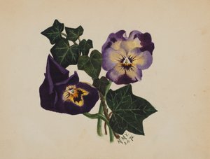 Utan titel Penséer och murgröna, 1876. av Mary Vaux Walcott