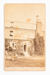 Carte de visite som visar fotografi av Gad