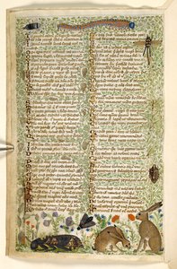 Lägg till. 28841, f.6v: Kaniner och insekter, inklusive en larv, trollslända och en nattfjäril, från en avhandling om dygder och laster, och en anonym prosahistoria av Sicilien (fragment), c.1330-40 (vellum)