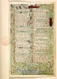 Lägg till. 28841, f.7, Blommor, frukt och insekter, inklusive en gräshoppa och en gräshoppa, från en avhandling om dygder och laster, och en anonym prosahistoria på Sicilien (fragment)