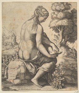 Venus tar bort en tagg från sin fot, 1532.