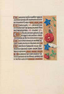 Hours of Queen Isabella the Catholic, Queen of Spain: Fol. 101r, c. 1500. av Master of the First Prayerbook of Maximillian