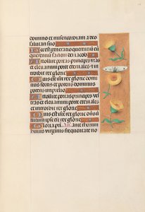 Hours of Queen Isabella the Catholic, Queen of Spain: Fol. 103r, c. 1500. av Master of the First Prayerbook of Maximillian