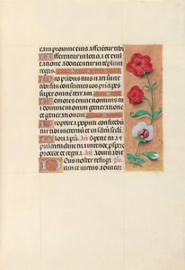 Hours of Queen Isabella the Catholic, Queen of Spain: Fol. 105r, c. 1500. av Master of the First Prayerbook of Maximillian