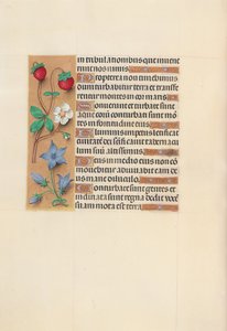 Hours of Queen Isabella the Catholic, Queen of Spain: Fol. 105v, c. 1500. av Master of the First Prayerbook of Maximillian