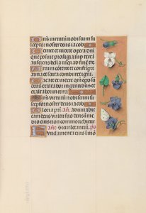Hours of Queen Isabella the Catholic, Queen of Spain: Fol. 106r, c. 1500. av Master of the First Prayerbook of Maximillian