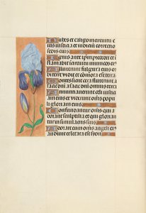 Hours of Queen Isabella the Catholic, Queen of Spain: Fol. 108v, c. 1500. av Master of the First Prayerbook of Maximillian