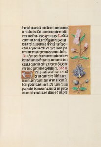 Hours of Queen Isabella the Catholic, Queen of Spain: Fol. 111r, c. 1500. av Master of the First Prayerbook of Maximillian