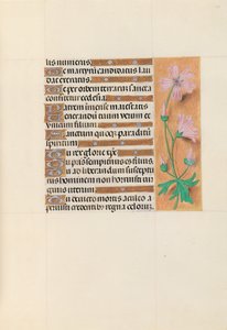 Hours of Queen Isabella the Catholic, Queen of Spain: Fol. 113r, c. 1500. av Master of the First Prayerbook of Maximillian