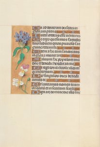 Hours of Queen Isabella the Catholic, Queen of Spain: Fol. 113v, c. 1500. av Master of the First Prayerbook of Maximillian