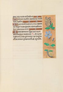 Hours of Queen Isabella the Catholic, Queen of Spain: Fol. 114r, c. 1500. av Master of the First Prayerbook of Maximillian