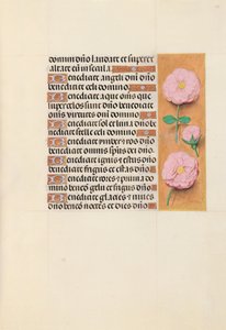 Hours of Queen Isabella the Catholic, Queen of Spain: Fol. 119r, c. 1500. av Master of the First Prayerbook of Maximillian