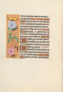 Hours of Queen Isabella the Catholic, Queen of Spain: Fol. 122v, c. 1500. av Master of the First Prayerbook of Maximillian