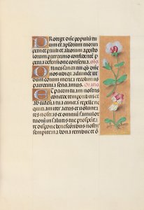 Hours of Queen Isabella the Catholic, Queen of Spain: Fol. 125r, c. 1500. av Master of the First Prayerbook of Maximillian