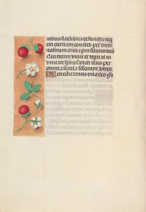 Hours of Queen Isabella the Catholic, Queen of Spain: Fol. 125v, c. 1500. av Master of the First Prayerbook of Maximillian