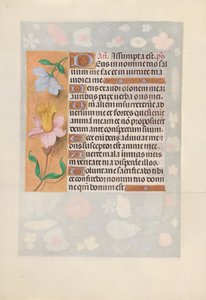 Hours of Queen Isabella the Catholic, Queen of Spain: Fol. 127v, c. 1500. av Master of the First Prayerbook of Maximillian