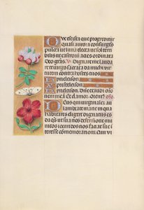 Hours of Queen Isabella the Catholic, Queen of Spain: Fol. 129v, c. 1500. av Master of the First Prayerbook of Maximillian
