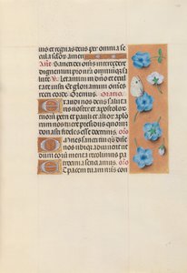 Hours of Queen Isabella the Catholic, Queen of Spain: Fol. 130r, c. 1500. av Master of the First Prayerbook of Maximillian
