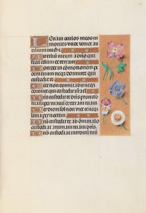 Hours of Queen Isabella the Catholic, Queen of Spain: Fol. 133r, c. 1500. av Master of the First Prayerbook of Maximillian