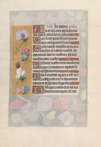 Hours of Queen Isabella the Catholic, Queen of Spain: Fol. 137v, c. 1500. av Master of the First Prayerbook of Maximillian