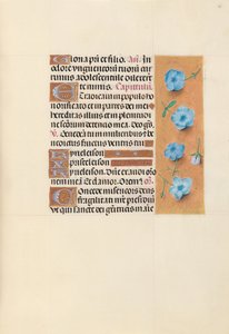 Hours of Queen Isabella the Catholic, Queen of Spain: Fol. 139r, c. 1500. av Master of the First Prayerbook of Maximillian