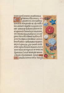 Hours of Queen Isabella the Catholic, Queen of Spain: Fol. 140r, c. 1500. av Master of the First Prayerbook of Maximillian