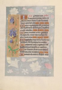 Hours of Queen Isabella the Catholic, Queen of Spain: Fol. 142v, c. 1500. av Master of the First Prayerbook of Maximillian