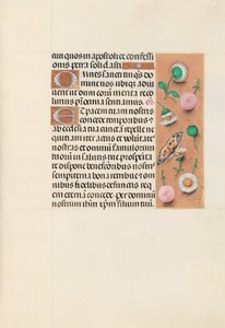 Hours of Queen Isabella the Catholic, Queen of Spain: Fol. 145r, c. 1500. av Master of the First Prayerbook of Maximillian