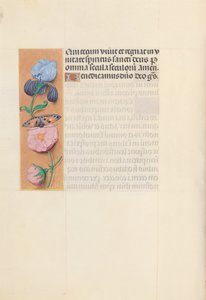 Hours of Queen Isabella the Catholic, Queen of Spain: Fol. 145v, c. 1500. av Master of the First Prayerbook of Maximillian