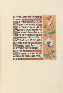 Hours of Queen Isabella the Catholic, Queen of Spain: Fol. 150r, c. 1500. av Master of the First Prayerbook of Maximillian