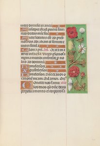 Hours of Queen Isabella the Catholic, Queen of Spain: Fol. 152r, c. 1500. av Master of the First Prayerbook of Maximillian