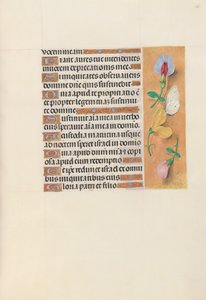 Hours of Queen Isabella the Catholic, Queen of Spain: Fol. 156r, c. 1500. av Master of the First Prayerbook of Maximillian