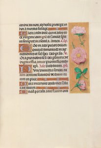 Hours of Queen Isabella the Catholic, Queen of Spain: Fol. 157r, c. 1500. av Master of the First Prayerbook of Maximillian
