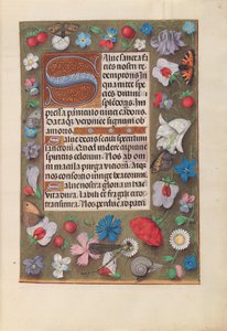Hours of Queen Isabella the Catholic, Queen of Spain: Fol. 15r, c. 1500. av Master of the First Prayerbook of Maximillian