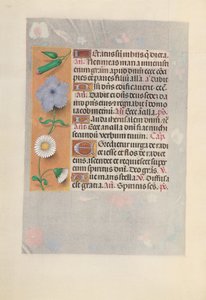 Hours of Queen Isabella the Catholic, Queen of Spain: Fol. 160v, ca. 1500. av Master of the First Prayerbook of Maximillian