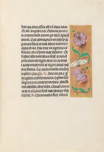 Hours of Queen Isabella the Catholic, Queen of Spain: Fol. 163r, c. 1500.