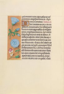 Hours of Queen Isabella the Catholic, Queen of Spain: Fol. 163v, c. 1500. av Master of the First Prayerbook of Maximillian