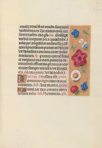 Hours of Queen Isabella the Catholic, Queen of Spain: Fol. 164r, c. 1500. av Master of the First Prayerbook of Maximillian