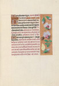 Hours of Queen Isabella the Catholic, Queen of Spain: Fol. 165r, c. 1500. av Master of the First Prayerbook of Maximillian