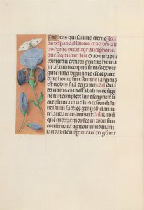 Hours of Queen Isabella the Catholic, Queen of Spain: Fol. 165v, c. 1500. av Master of the First Prayerbook of Maximillian