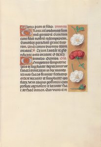 Hours of Queen Isabella the Catholic, Queen of Spain: Fol. 19r, c. 1500. av Master of the First Prayerbook of Maximillian