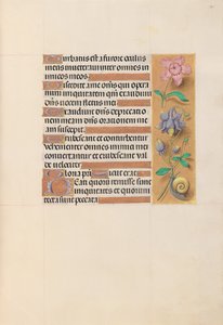 Hours of Queen Isabella the Catholic, Queen of Spain: Fol. 201r, c. 1500. av Master of the First Prayerbook of Maximillian