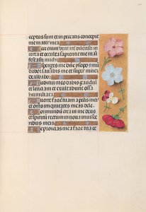 Hours of Queen Isabella the Catholic, Queen of Spain: Fol. 205r, c. 1500. av Master of the First Prayerbook of Maximillian