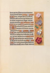 Hours of Queen Isabella the Catholic, Queen of Spain: Fol. 206r, c. 1500. av Master of the First Prayerbook of Maximillian